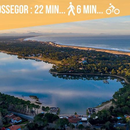 Hossegor - Vue Ocean - Plage - Couple - Famille Soorts-Hossegor Exterior photo